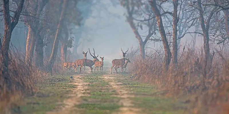 3 Days Lakhimpur Kheri Tour Package