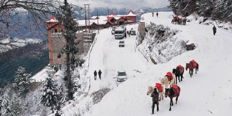 7 Days Manali - Kullu - Kufri - Shimla Tour