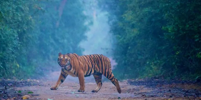 7 Days Mussoorie - Corbett - Nainital Tour