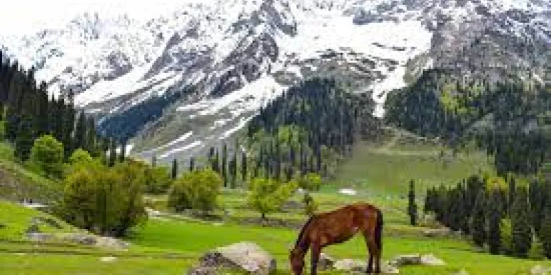 Kashmir Tour Itinerary For 5 Days