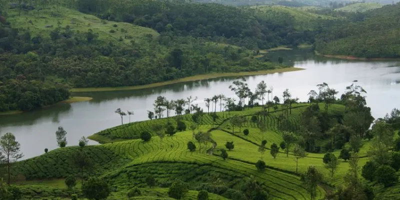6Nights Glimpse Of Kerala Tour