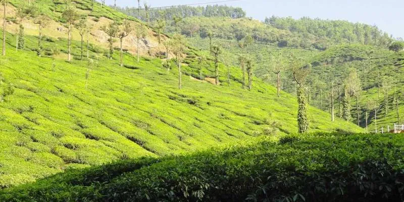 5 Days Mangalore - Hornadu - Sringeri - Dharmasthala Tour