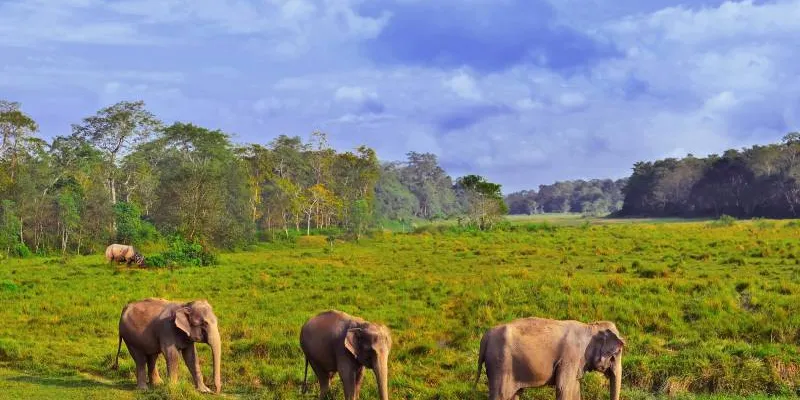 9N 10D Kathmandu - Chitwan - Lumbini - Pokhara - Nagarkot Tour