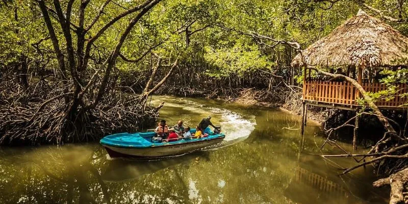 Andaman For 6 Nights 7 Days With Baratang Tour