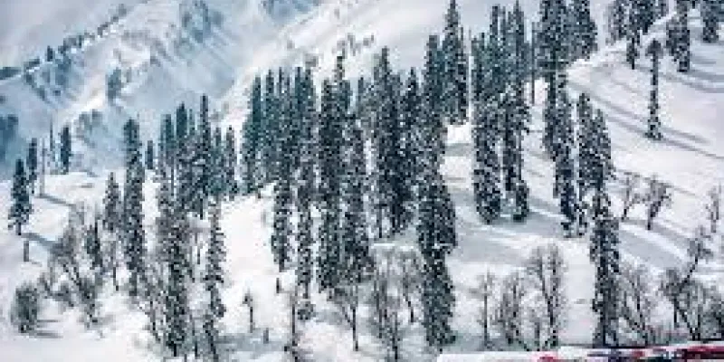 5N - 6D Kashmir Family Package