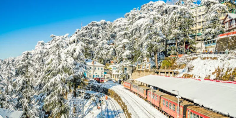 Shimla - Narkanda - Jibhi 7 Night 8 Days Tour