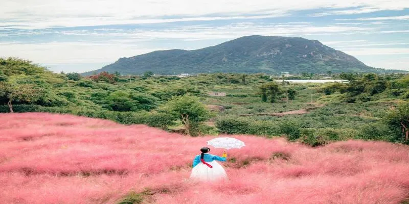 Beautiful Korea at Autumn