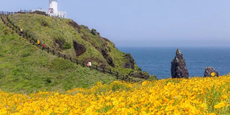 Beautiful Korea at Autumn