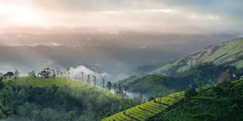 Kerala Prime Attractions In 5 Days Munnar - Thekkady - Alleppey