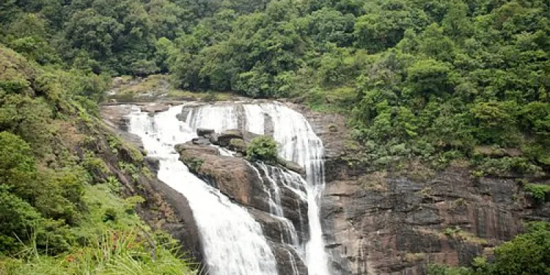 4N 5D Mysore - Coorg - Bandipur Tour