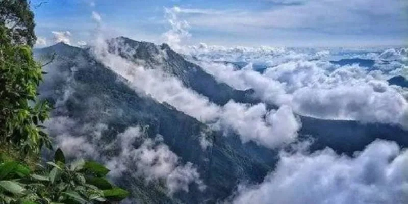 5N 6D Mysore - Ooty - Kodaikanal Tour