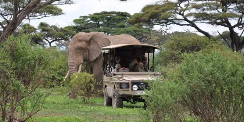7 Days Tanzania Safari - Tarangire - Serengeti - Ngorongoro Tour