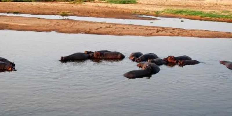 3 Days 2 Nights Southern Circuit - Ruaha Tour By Drive