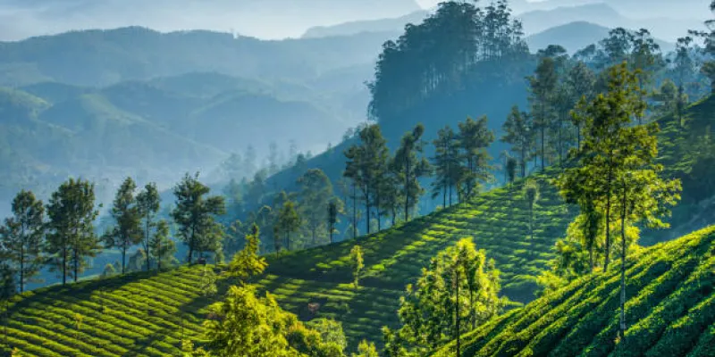 Darjeeling Tour - Queen Of Hills 3 Night - 4 Days