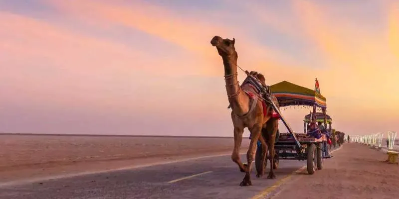 Gujarat Tour Ahmedabad 1N - Dwarka 2N - Somnath 1N - Gir Sasan 2N