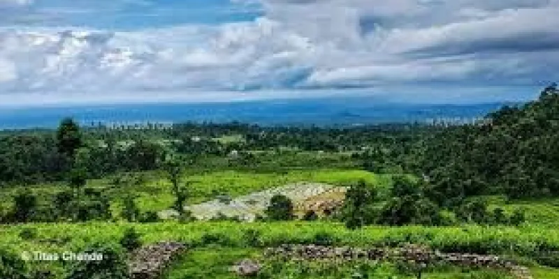 The Gorumara - Lataguri Circuit - Western Dooars Tour