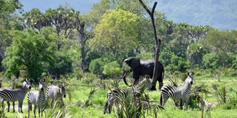 5 Day Tribes Of Tanzania Safari Tour