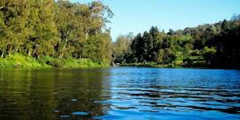 Wayanad - Ooty - Coorg And Mysore Grand Tour 6 Nights 7 Days