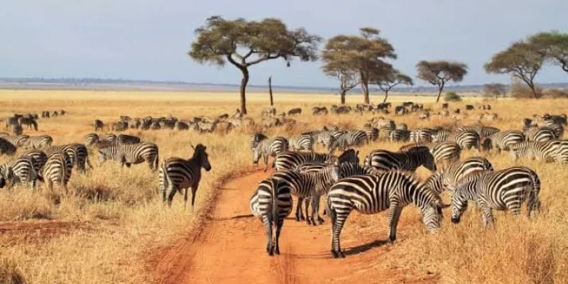 6-Day Prodigious Cultural Tour in Tanzania