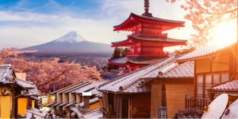 Cherry Blossom Japan 8 Days Tour