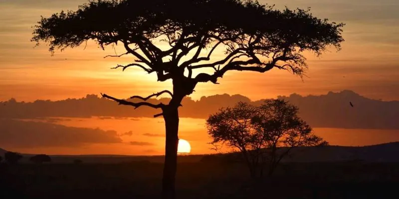 5 Day Tanzania Luxury Safari Tour