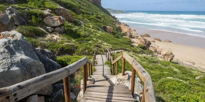14 Days South Africa - Coastal Delights Tour