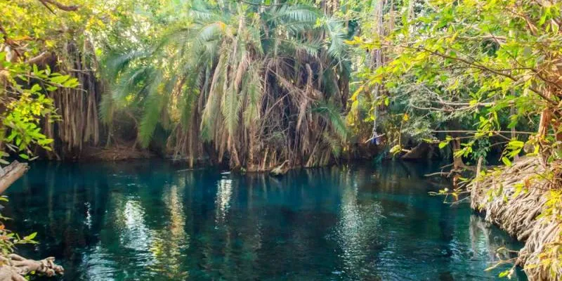 Chemka Hot Spring Day Trip