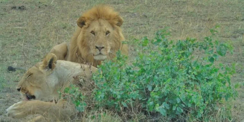 Northern Paradise Plus Tour