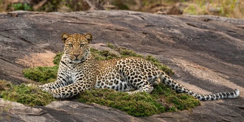 10 Days Safari And Island Collection Tour