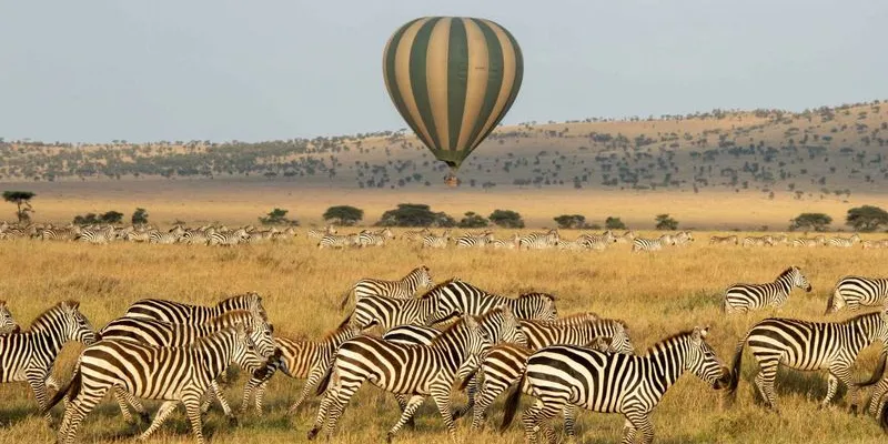 10 Days Ultra-Luxury Tanzania Safari Tour