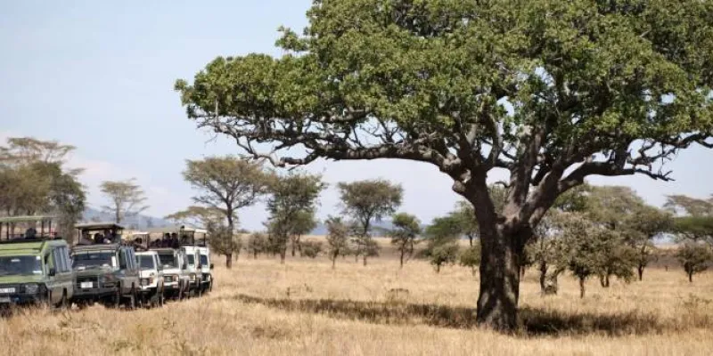 9 Days - 8 Nights Tanzania Safari Tour