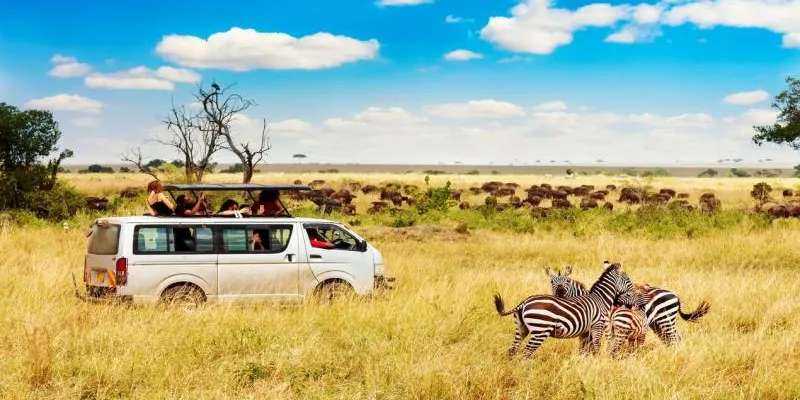 06 Nights - 07 Days Kenya Safari Package - Standard