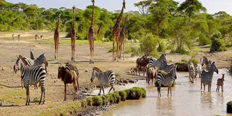 4-Day Beach To Bush - Fly In - Fly Out Luxury Tour