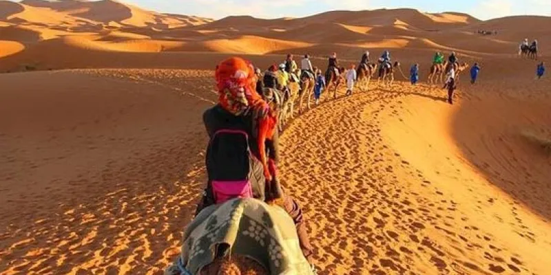 Desert Circuit Package