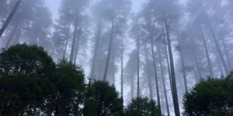 6 Nights - 7 Days In Haridwar - Rishikesh - Chopta Valley And Mussoorie