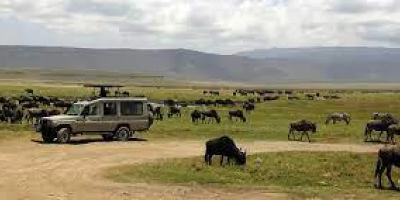 Bush To Beach Safari Adventure