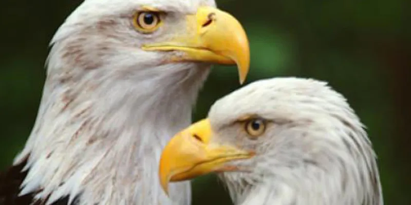 7 Days Kenya Budget Lodge Safari - Lake Tour