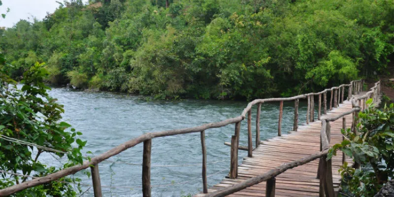 Mysore - Chikmagalur Tour