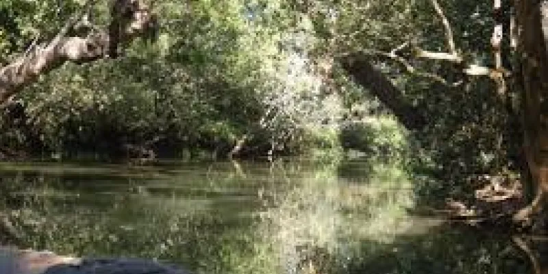 South India Hill Station Package