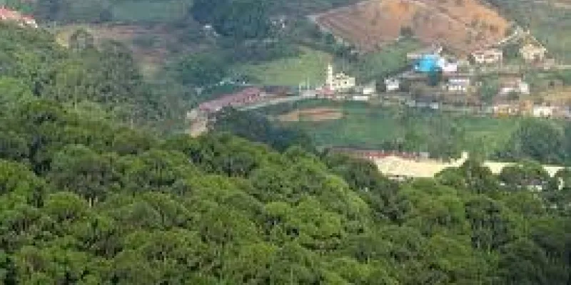 South India Hill Station Package