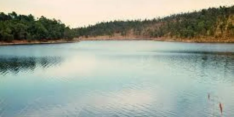 South India Hill Station Package