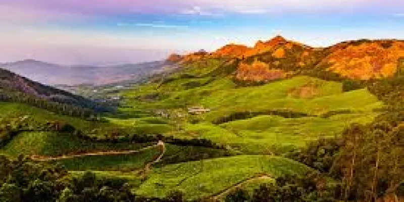South India Hill Station Package