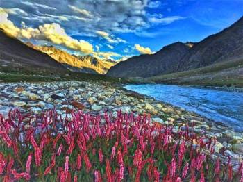 13 Days Lahaul Valley - Flowers - Villages Trek Tour