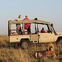 13-day Best Highlights of Kenya and Tanzania Package