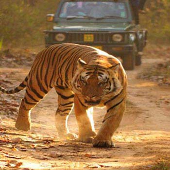 Luxury 10 Days Golden Triangle & Ranthambore Package