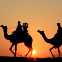 Camel safari (Rao Bikaji ) Tour