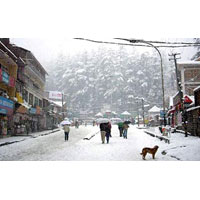 Shimla - Manali Packages