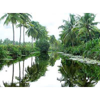 Best of Kerala Tour for 5D/4N