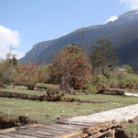 Holiday Tour To Sikkim
