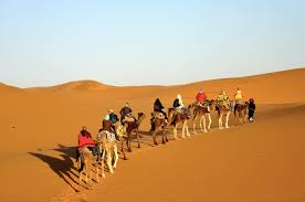 7 Days: Imperial Cities and Sahara Desert Trip